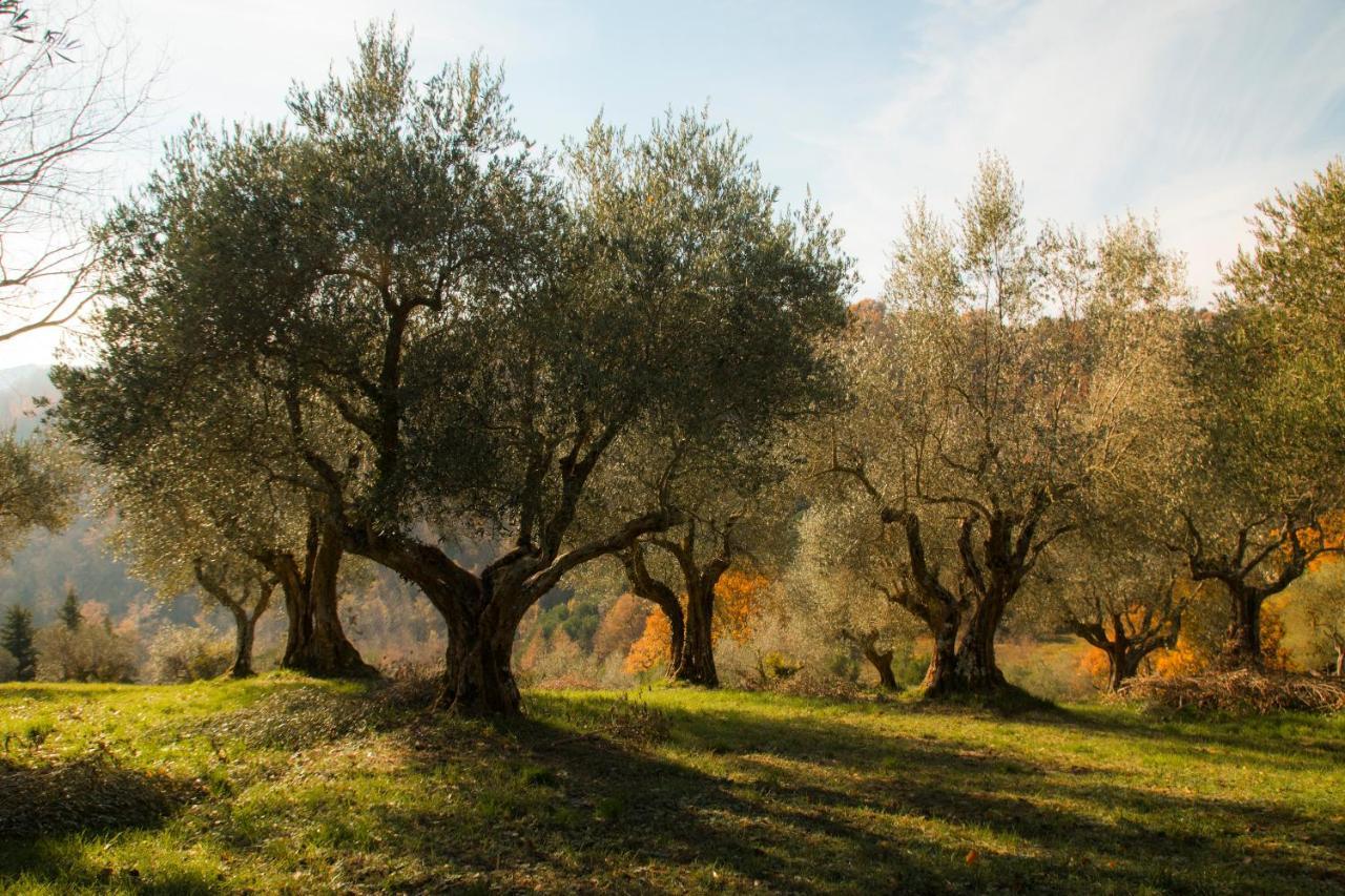 Castello Di Petroia 4*