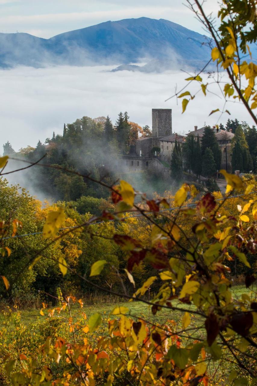 Castello Di Petroia 4*